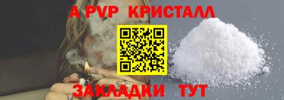 твердый Бийск