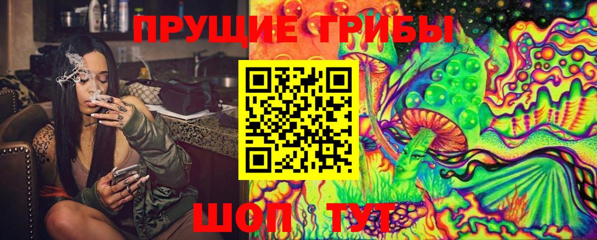 Галлюциногенные грибы прущие грибы  где купить наркоту  Дзержинский  Псилоцибиновые грибы Psilocybe 