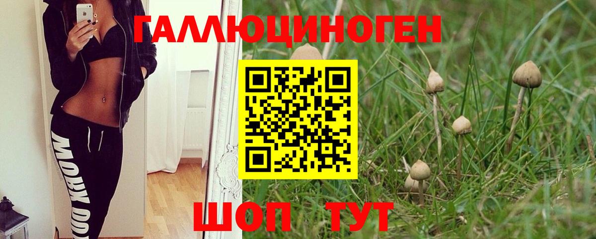 Галлюциногенные грибы мицелий  Вход с VPN  Дзержинский 